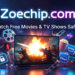 Zoechip com