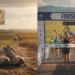 How Long is a Marathon