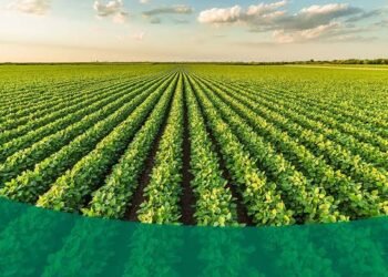 Agricultural
