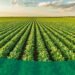Agricultural